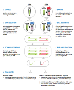 GeneProof Hepatitis B Virus (HBV) PCR Kit - BIOMEDIC JSC - Reliable Value