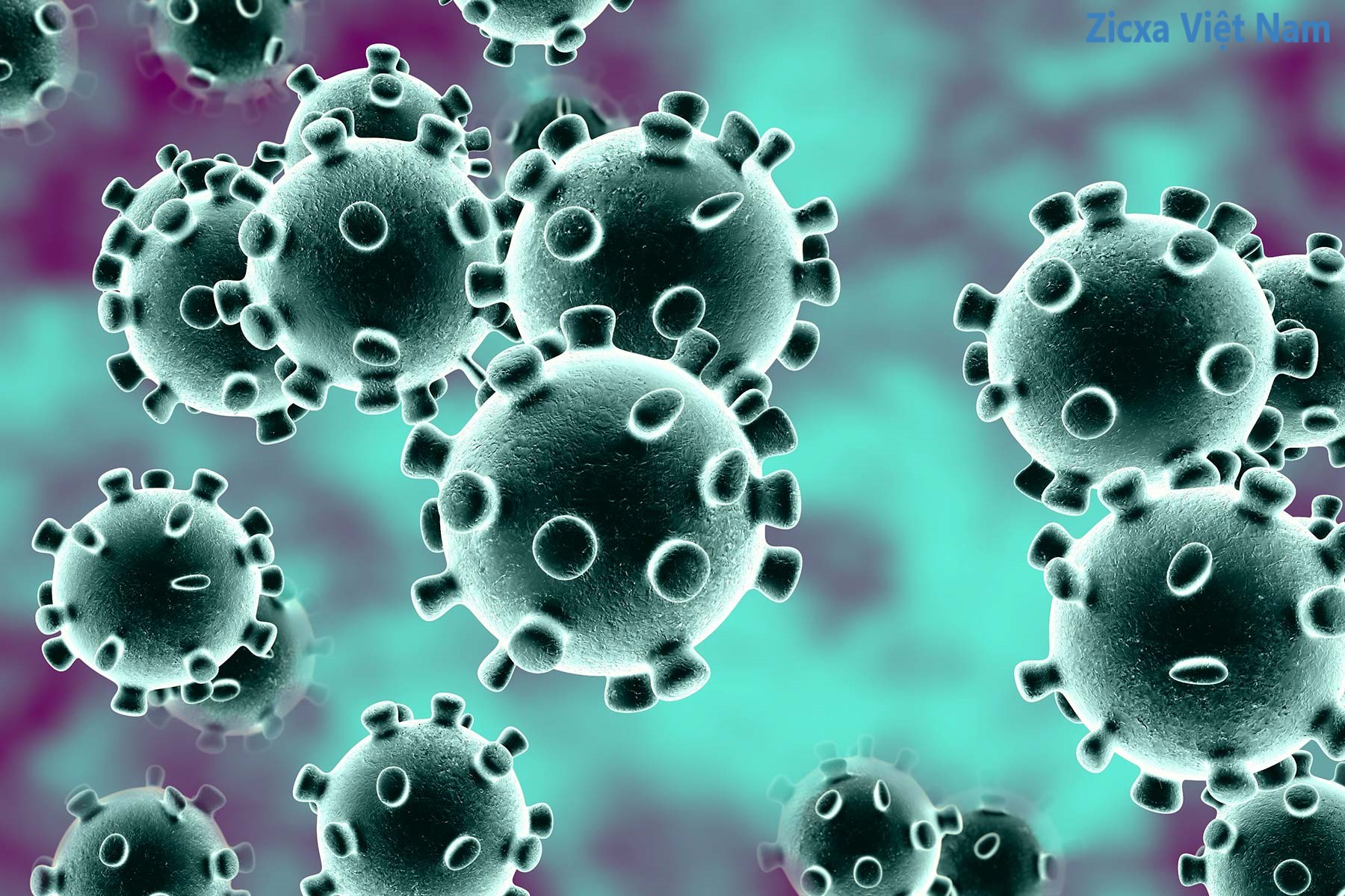 Cách phòng ngừa virus Corona theo Khuyến cáo của Bộ Y tế và WHO