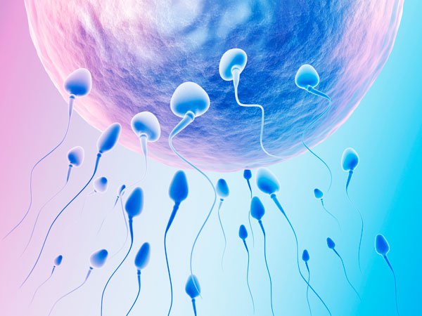 Sàng lọc tinh trùng – Bước chuẩn bị quan trọng trong IUI và IVF