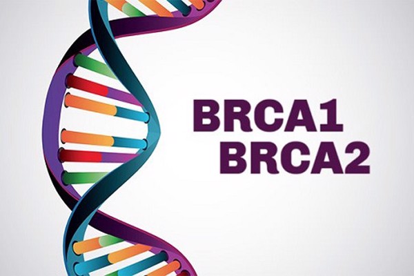 Đột biến gen BRCA1/2 – Nguyên nhân hàng đầu gây ung thư vú